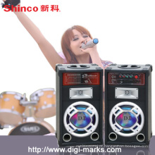 Orador portátil do karaoke do DJ do baixo do orador de Bluetooth do Active 2.0